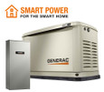 GENERAC 7224 Guardian 14kW Home Backup Generator with 16-circuit Transfer Switch WiFi-Enabled