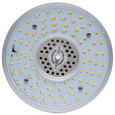 SATCO Lighting S23167 80W LED HID Replacement, CCT Selectable, Type B, Ballast Bypass, Mogul Extended Base, 277-480V, ColorQuick Technology