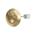 Steel City FPT3-2P-2C-BRS 2X2 POKE-THRU 2 PWR 2 COM BRASS CVR