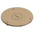 Steel City P 60 1 CVR PLT DIA 4IN PLG SZ 1IN BRASS