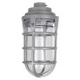 Red Dot VKG-11-C 1/2inch PEND CAP 100W W/GLOBE&GRD
