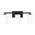 Capital Lighting CAP-119831-545 Ravenwood Transitional 3-Light Vanity