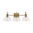 Capital Lighting CAP-139133 Cassidy Transitional 3-Light Vanity