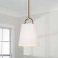 Capital Lighting CAP-349411 Brody Transitional 1-Light Pendant