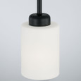 Capital Lighting CAP-315211 Dixon Modern 1-Light Pendant