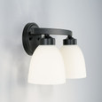 Capital Lighting CAP-114321 Jameson Transitional 2-Light Vanity