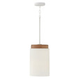 Capital Lighting CAP-350911 Liam Modern 1-Light Pendant