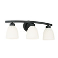 Capital Lighting CAP-114331 Jameson Transitional 3-Light Vanity