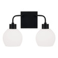 Capital Lighting CAP-120021-540 Tanner Transitional 2-Light Vanity