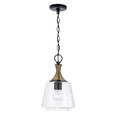 Capital Lighting CAP-345611 Amara Transitional 1-Light Pendant