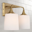 Capital Lighting CAP-148921 Presley Transitional 2-Light Vanity