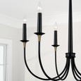 Capital Lighting CAP-445661 Amara Transitional 6-Light Chandelier