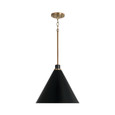 Capital Lighting CAP-350112 Bradley Modern 1-Light Pendant