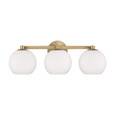 Capital Lighting CAP-152131 Ansley Transitional 3-Light Vanity