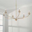 Capital Lighting 449961 Dolan Transitional 6-Light Chandelier