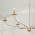 Capital Lighting 449961 Dolan Transitional 6-Light Chandelier
