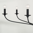 Capital Lighting 449961 Dolan Transitional 6-Light Chandelier