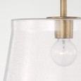 Capital Lighting CAP-246911 Baker Transitional 1-Light Pendant