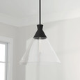 Capital Lighting CAP-350311 Paloma Modern 1-Light Pendant