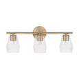 Capital Lighting CAP-145031 Dena Transitional 3-Light Vanity