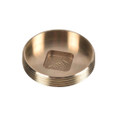 OATEY 42370 2 in. 185 Brass Cleanout Plug