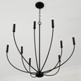 Capital Lighting CAP-452191 Ansley Transitional 9-Light Chandelier