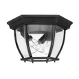 Capital Lighting CAP-9802 Outdoor Urban / Industrial 3-Light Outdoor Flush Mount