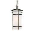 Capital Lighting CAP-9885 Lakeshore Modern 1-Light Outdoor Hanging-Lantern