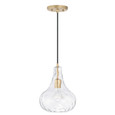 Capital Lighting CAP-AA1004 River Transitional 1-Light Pendant