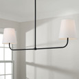 Capital Lighting CAP-849421 Brody Transitional 2-Light-Linear Chandelier