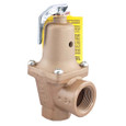 Watts 0383020 1 1/4 In Iron Boiler Pressure Relief Valve, 30 psi, Expanded Outlets