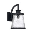 Capital Lighting CAP-926512 Tory Transitional 1-Light Outdoor Wall-Lantern