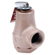 Watts 0358553 3/4 In Iron Boiler Pressure Relief Valve, 30 psi, Forged Brass Inlet