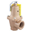 Watts 740-030 1 1 In Iron Boiler Pressure Relief Valve, 30 psi, Expanded Outlets