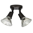 Capital Lighting CAP-9502 Outdoor Traditional 2-Light Outdoor Floodlight