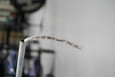 Southwire SWMT2500-3000S POLYESTER MULE 2500LB 3000FT SPOOL