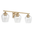 Capital Lighting CAP-AA1009 Reece Transitional 3-Light Vanity