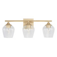 Capital Lighting CAP-AA1009 Reece Transitional 3-Light Vanity