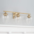 Capital Lighting CAP-AA1009 Reece Transitional 3-Light Vanity