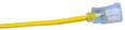 Southwire 2589swca02 2589SW0002 12/3 Heavy-Duty 15-Amp SJTW High Visibility General Purpose Extension Cord with Lighted End, 100'