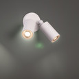 WAC Lighting Cylinder LED Double Adjustable Indoor or Outdoor Wall Light
