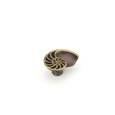 Schaub 980 Left Hand Nature Shell Cabinet Knob