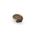 Schaub 980 Left Hand Nature Shell Cabinet Knob