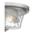 Quoizel QZL-ACA1614 Transitional Flushmount 2 lights