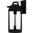 Quoizel Lighting CLI8409 Traditional Clifton Outdoor Wall Light