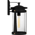 Quoizel Lighting CLI8409 Traditional Clifton Outdoor Wall Light