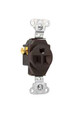 Pass & Seymour 5251 15A 125V Heavy Duty Spec-Grade Single Receptacle, Side Wire, Brown