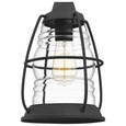 Quoizel Lighting AMR1708 Coastal Admiral 1-Light Semi-Flush Mount