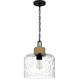 Quoizel QZL-BTC1512 Coastal Mini pendant 1 light