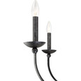 Quoizel Lighting CLL638 Transitional Calligraphy 6-Light Taper Candle Chandelier
